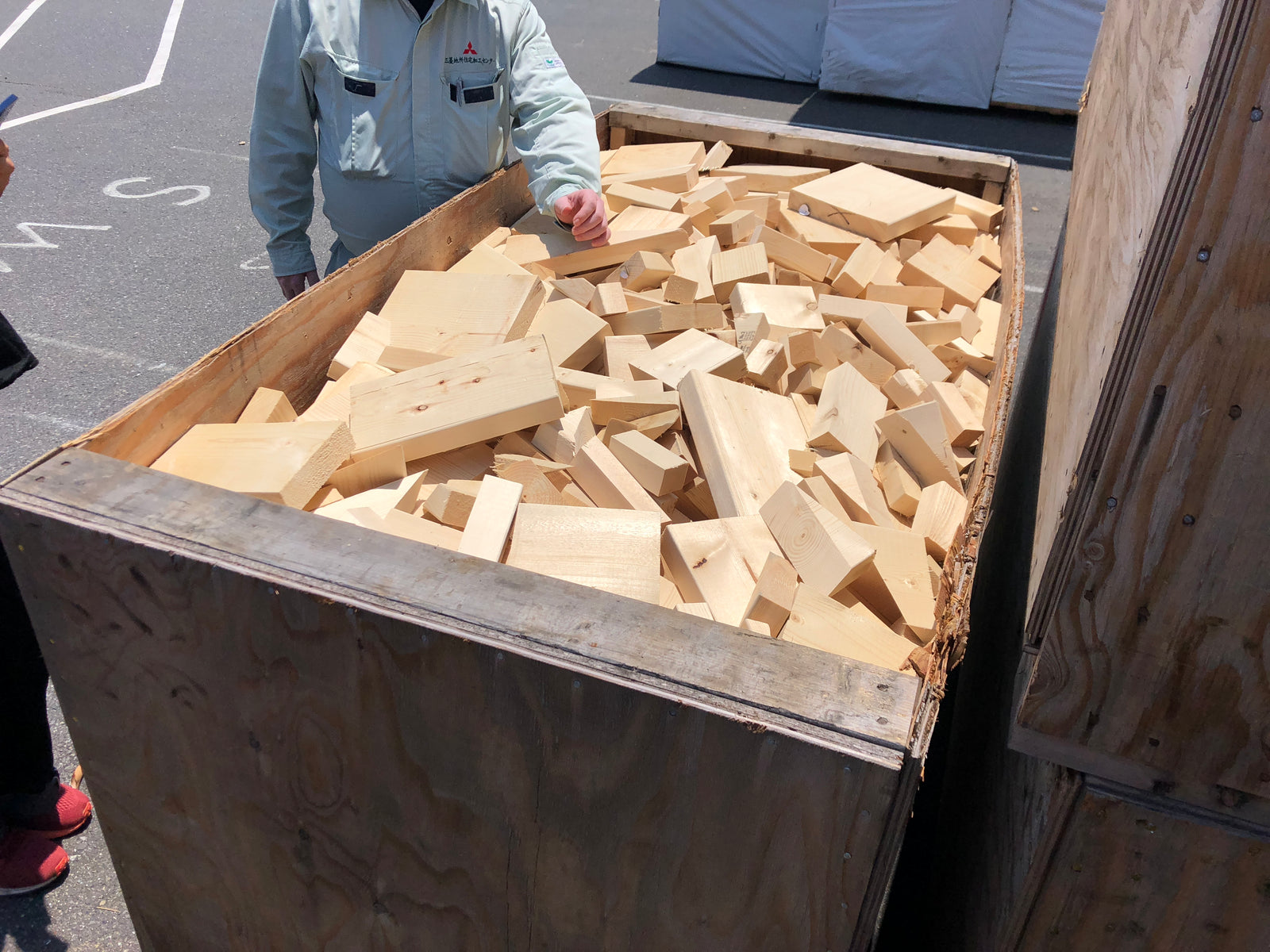 ISHINOMAKI PENGUIN KIT – MJ HOME STORE